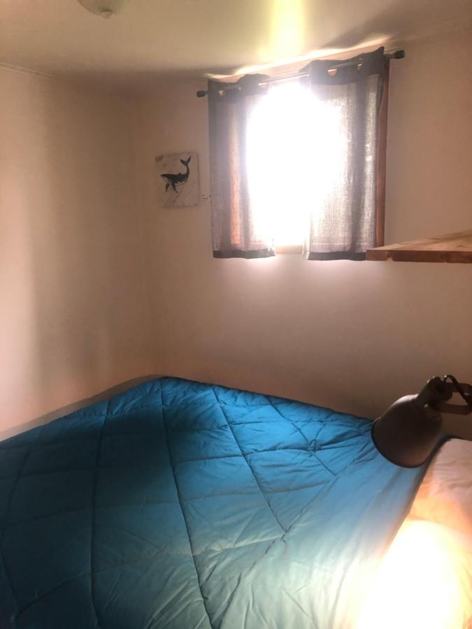 Chalets Les Chanterelles De Forillon L'Anse-au-Griffon Exteriör bild