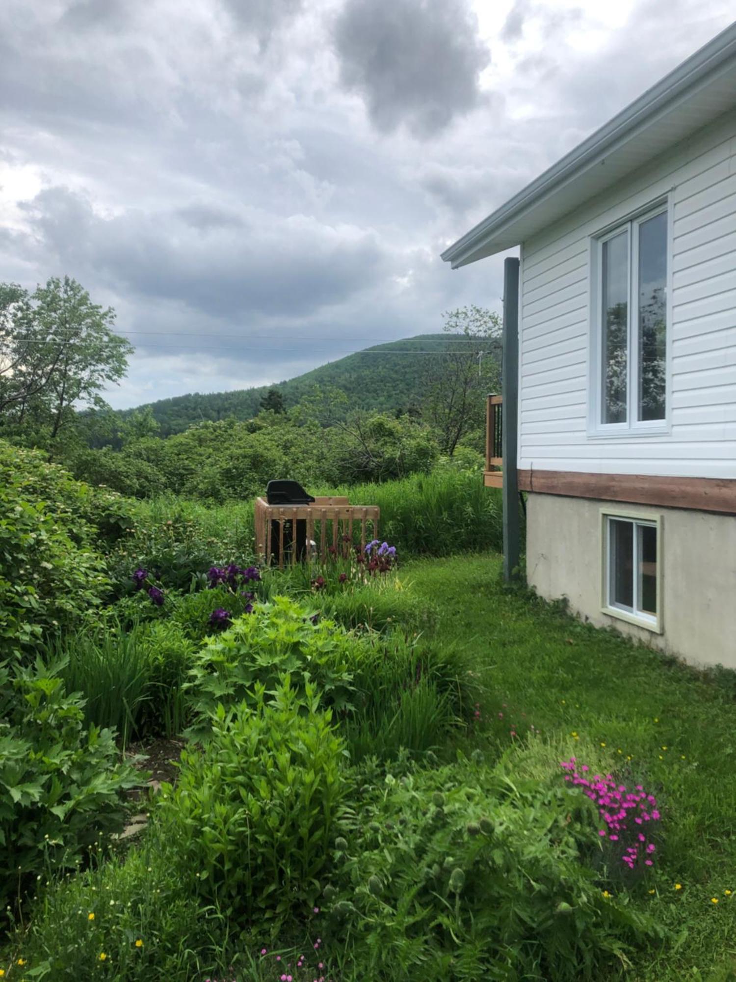 Chalets Les Chanterelles De Forillon L'Anse-au-Griffon Exteriör bild